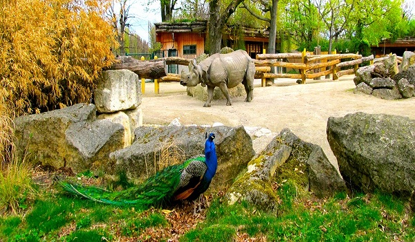 Photo by http://jetsettimes.files.wordpress.com/