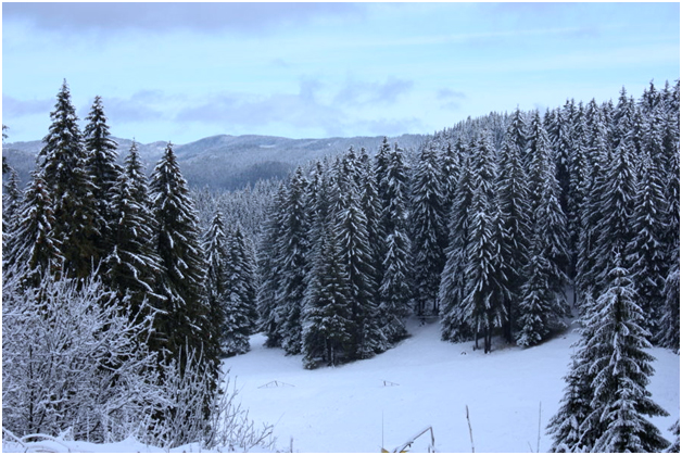 Pamporovo Ski Resort