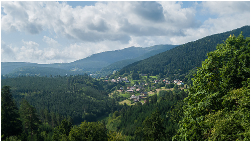 Vosges Mountain France