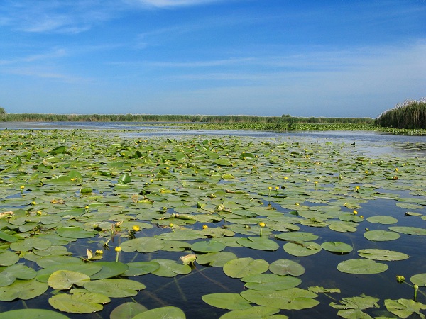 Photo by http://hiking-romania.com/