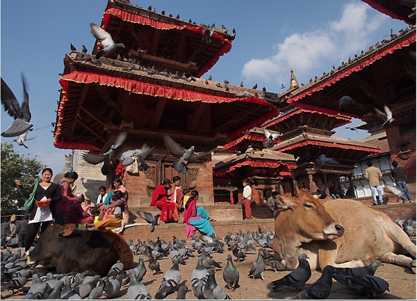 Photo by http://tennysonlee.files.wordpress.com/