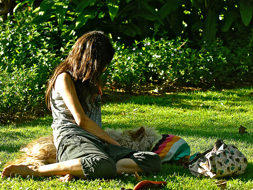 Gulbenkian Museum Garden