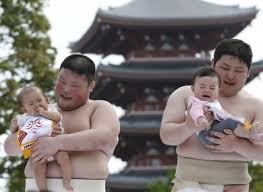 Travelvivi - Naki Sumo