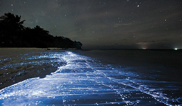 Vaadhoo Beach, Maldives